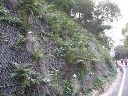 公路边坡防护网
